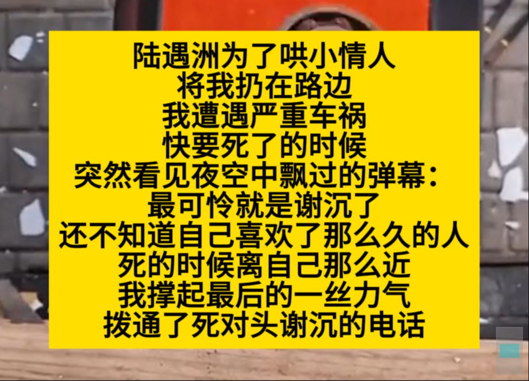 陆遇洲为了哄小情人,将我仍在路边,车祸快四时,突然看到了弹幕……小说推荐哔哩哔哩bilibili