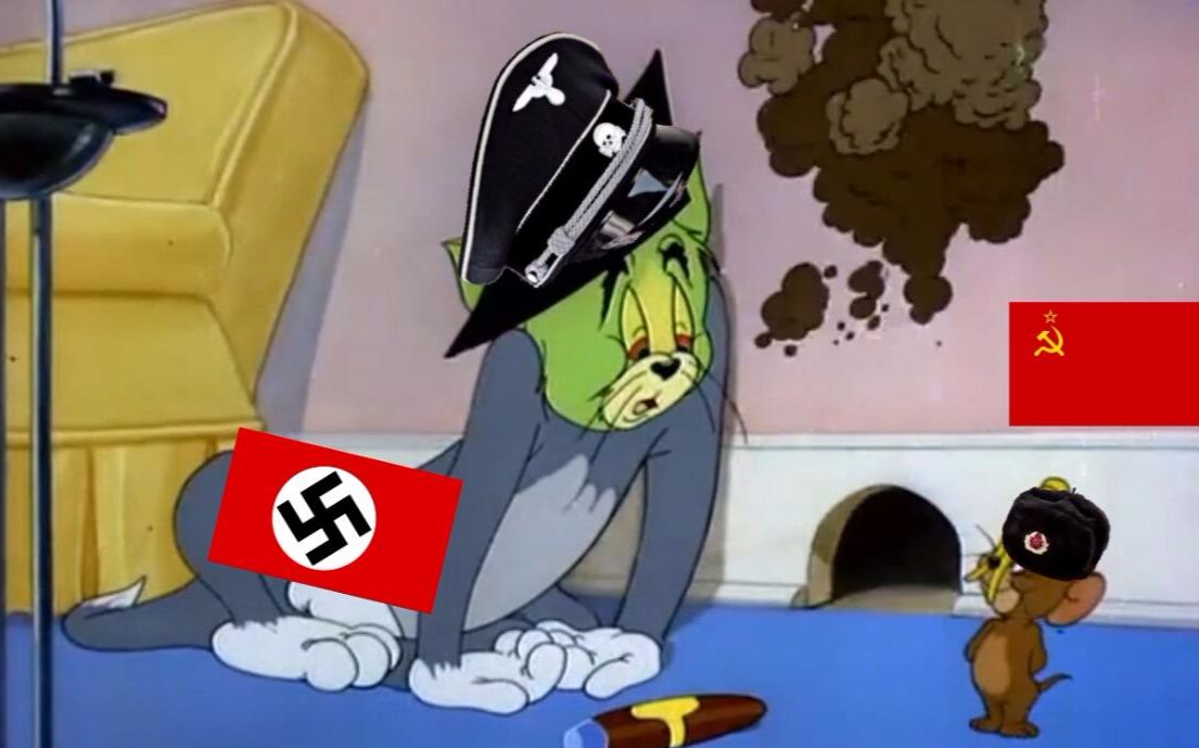 纳粹汤姆猫图片