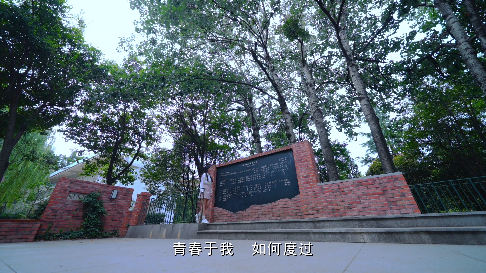 西南林业大学2024招生宣传片《梦启西林》哔哩哔哩bilibili