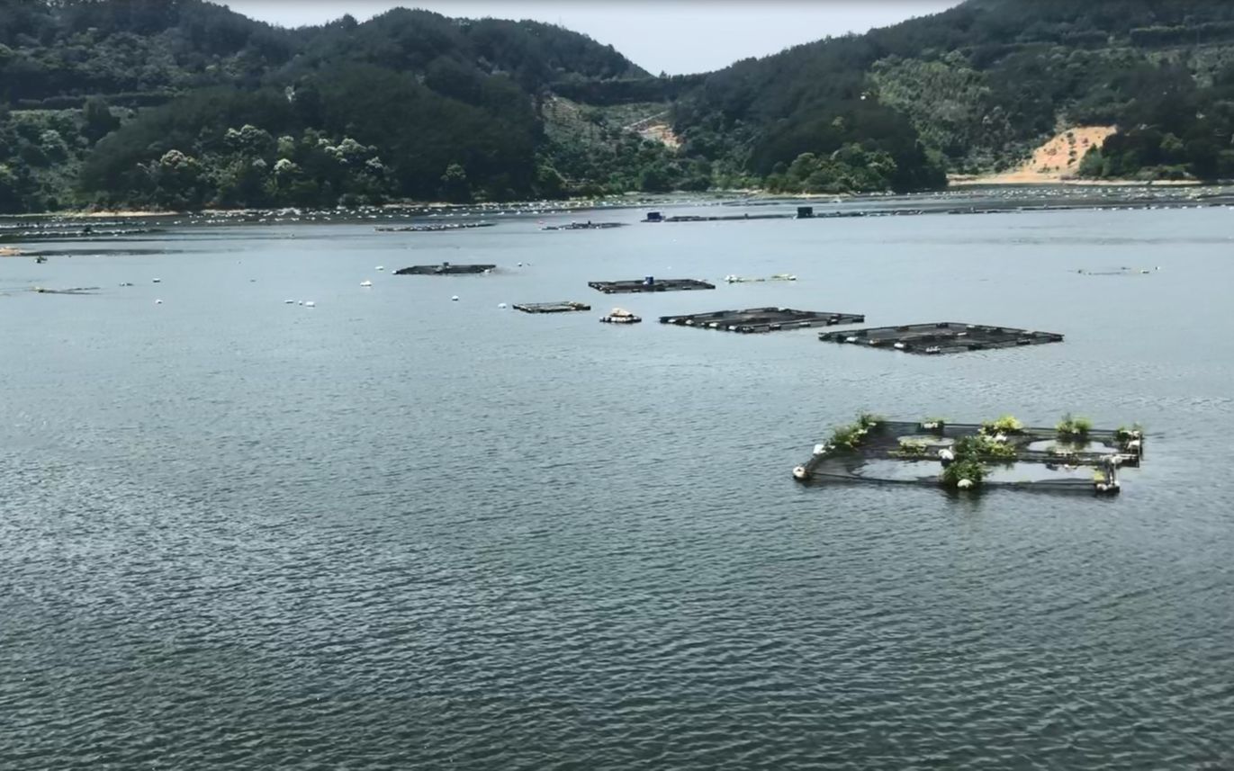 (粗制滥造)峰福铁路 闽侯樟湖板 原速原声 侧方展望哔哩哔哩bilibili