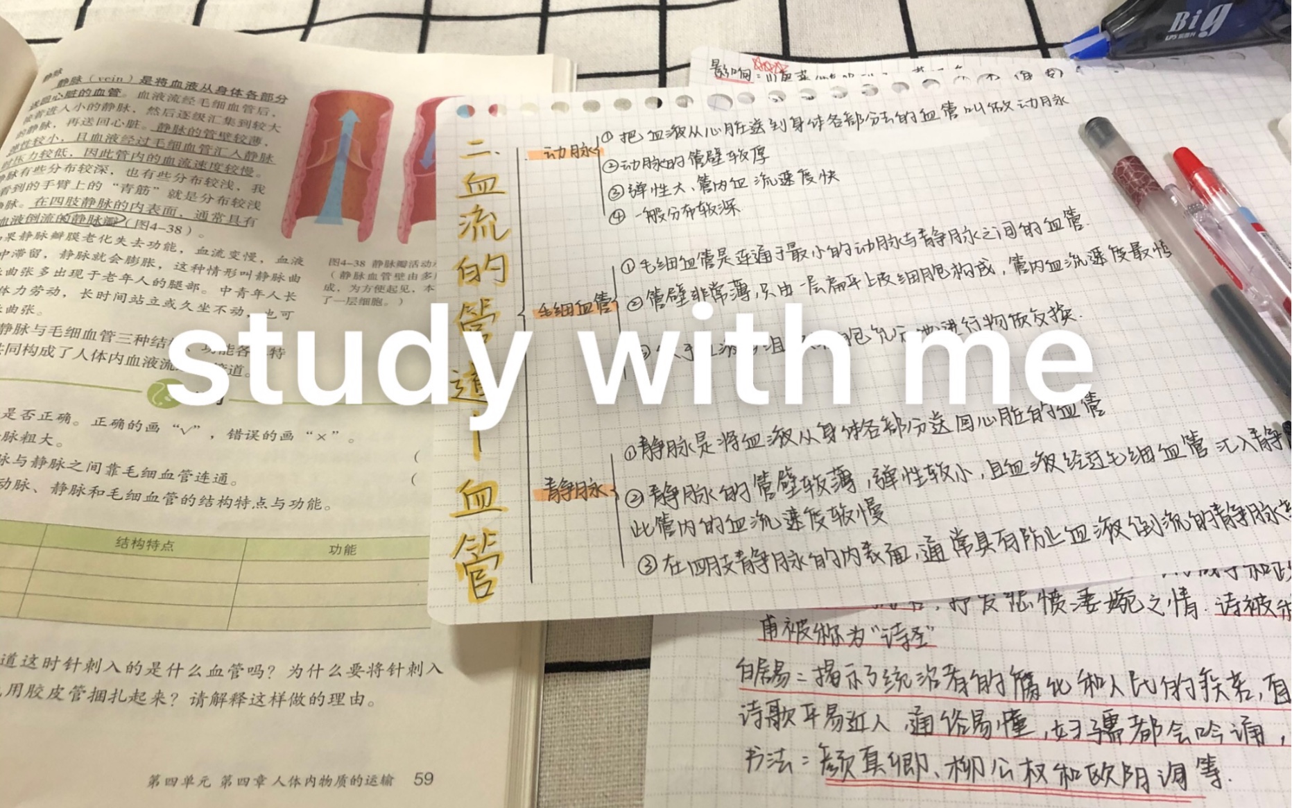 【小原】study with me|动力|如果你觉得困难 那么你一定是在上坡路的哔哩哔哩bilibili