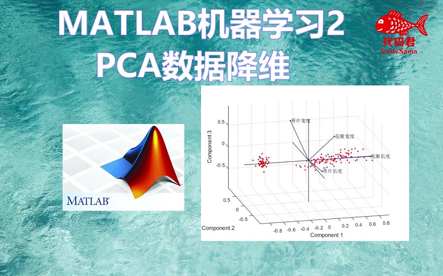 【MATLAB机器学习2】PCA数据降维哔哩哔哩bilibili