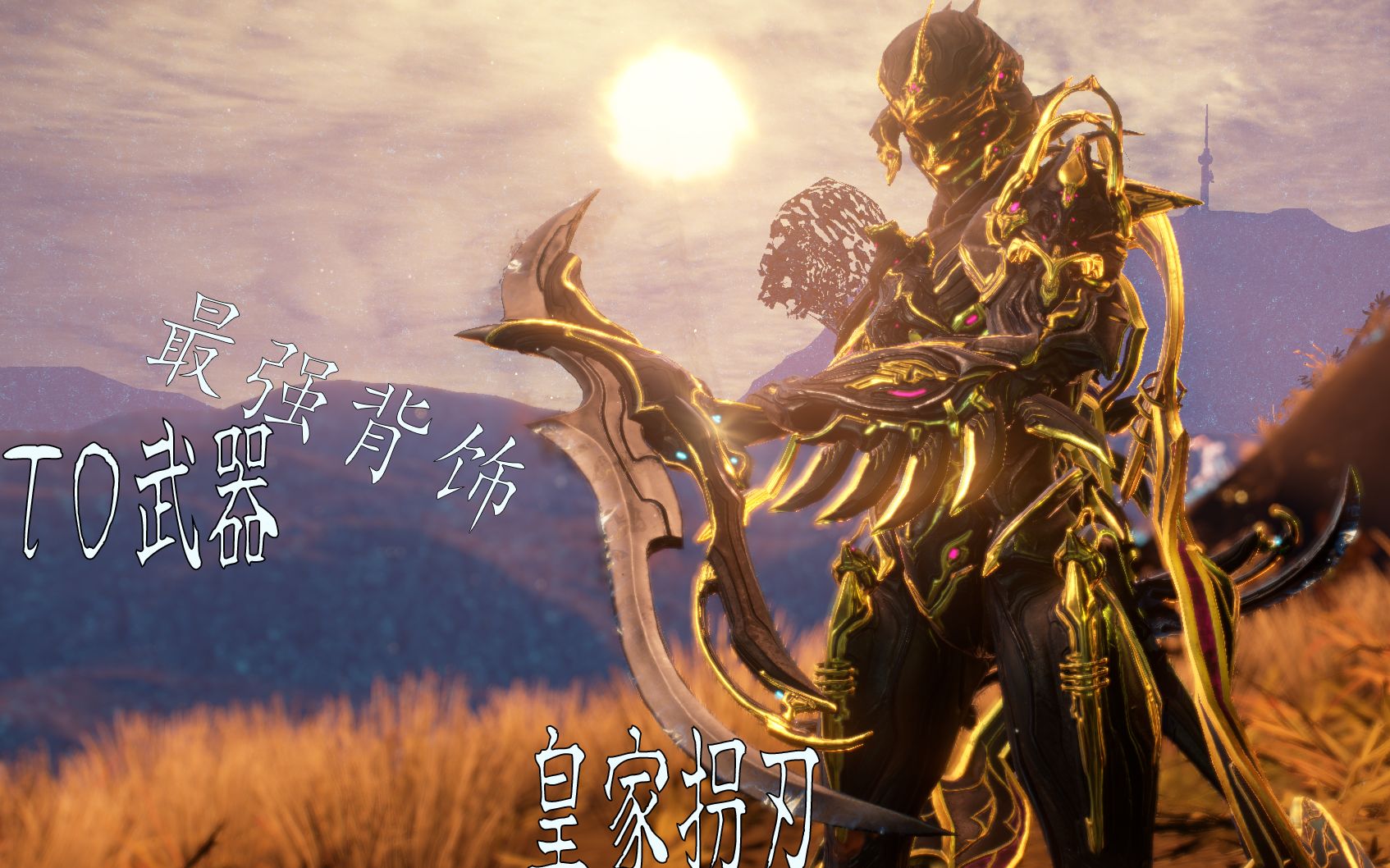 【warframe】t0皇家拐刃p 超级帅 随便杀中断怪 视频最后roll东西 整