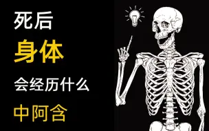 Download Video: 中阿含经讲解07 死后身体会经历什么 火化 尸体变化 正念冥想