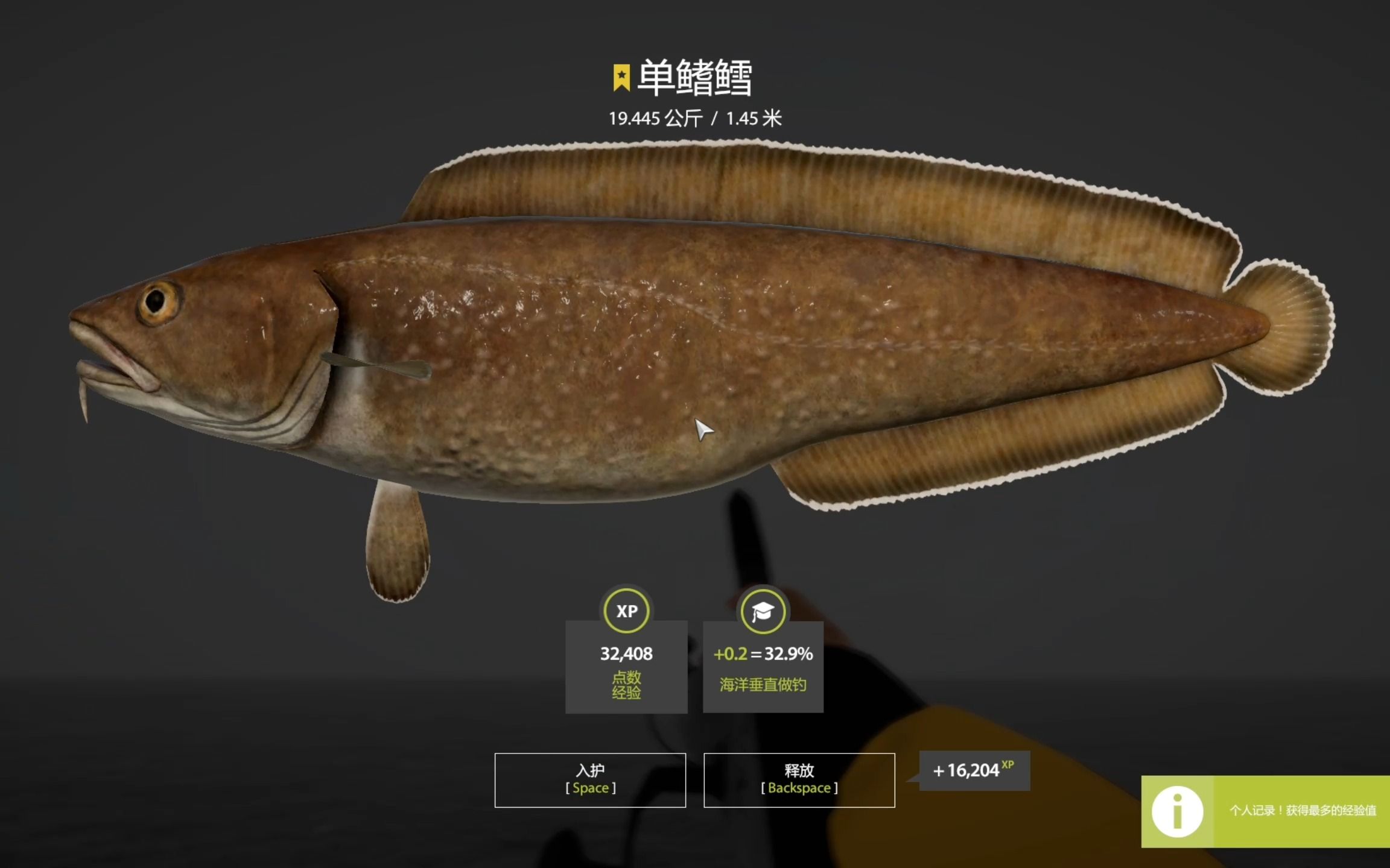 俄罗斯钓鱼4 | 萌新飞机票出星单鳍鳕