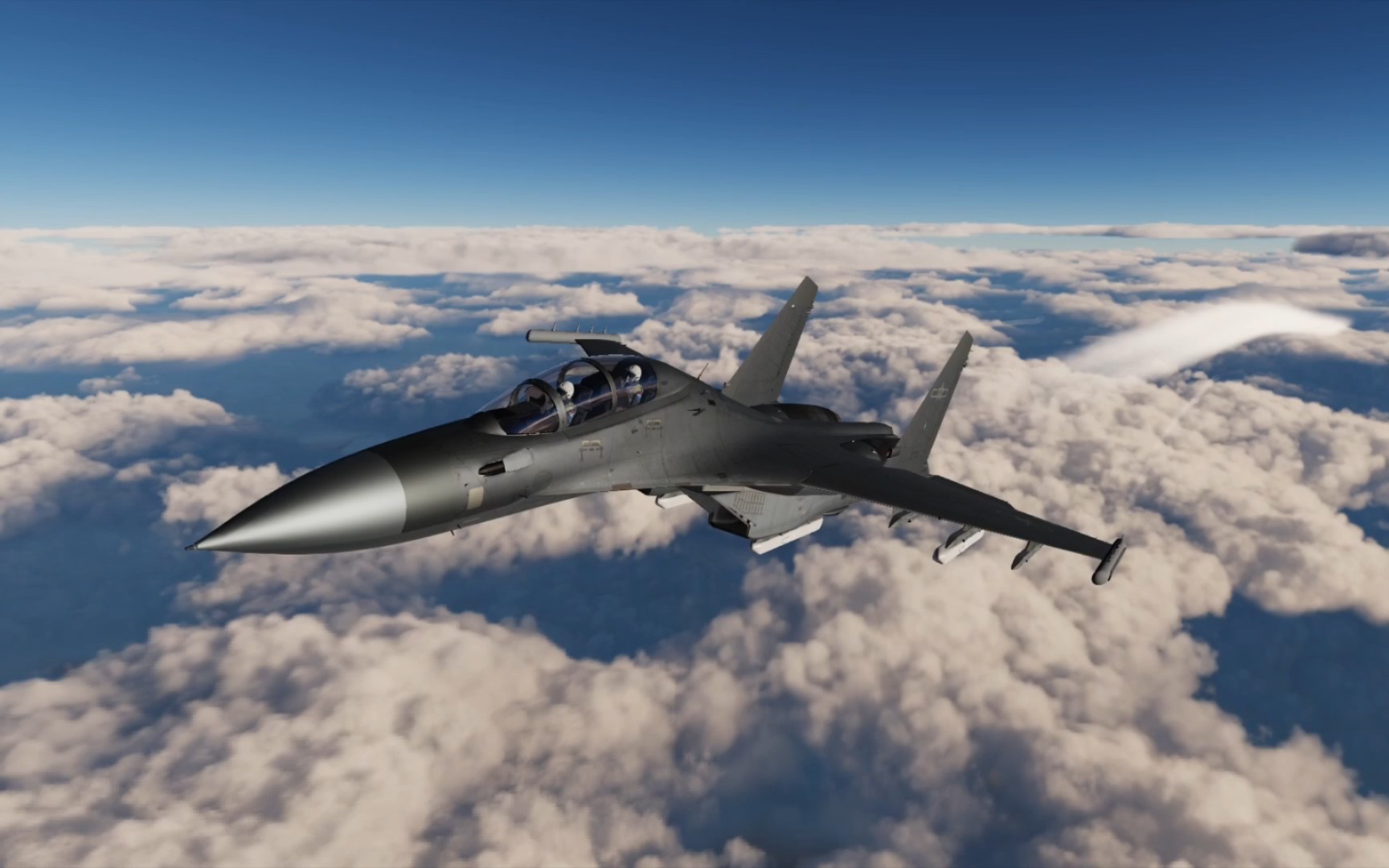 dcs 歼16d新涂装游戏表现