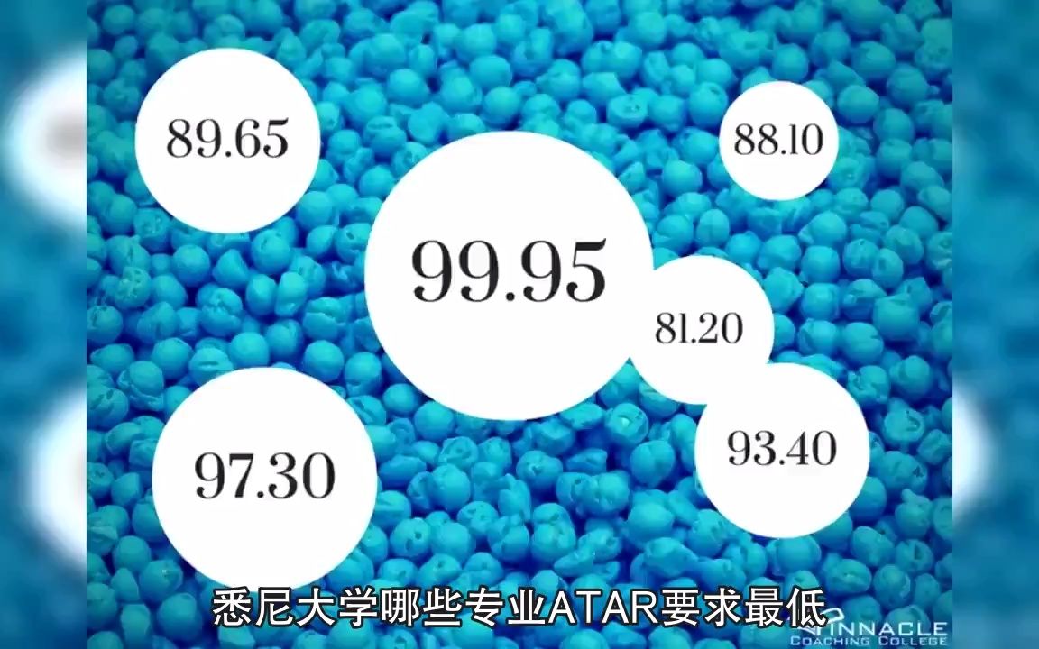 悉尼大学哪些专业ATAR要求最低哔哩哔哩bilibili