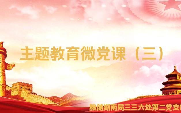 粮储湖南局三三六处第二党支部2023年六月主题党日活动——主题教育微党课(主讲人:曾丽雅)哔哩哔哩bilibili