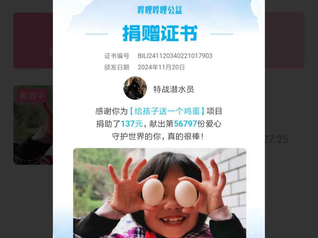 捐赠凭证哔哩哔哩bilibili