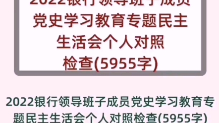 2022银行领导班子成员DS学习教育专题民主生活会个人对照检查(5955字)哔哩哔哩bilibili