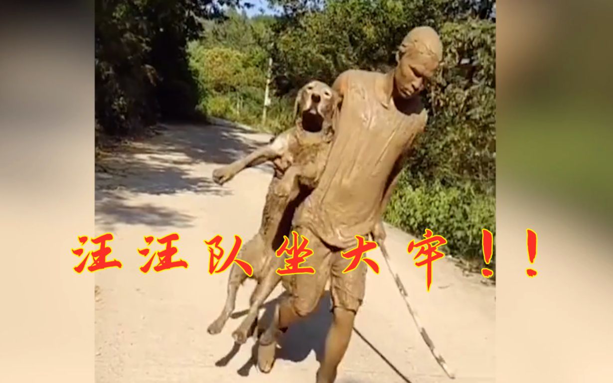 活动作品动物迷惑行为之汪汪队蹲大牢