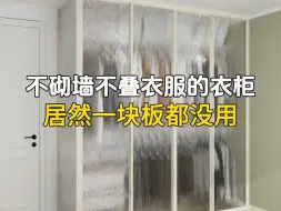 Video herunterladen: 一块板都没用的衣柜还能好用嘛？