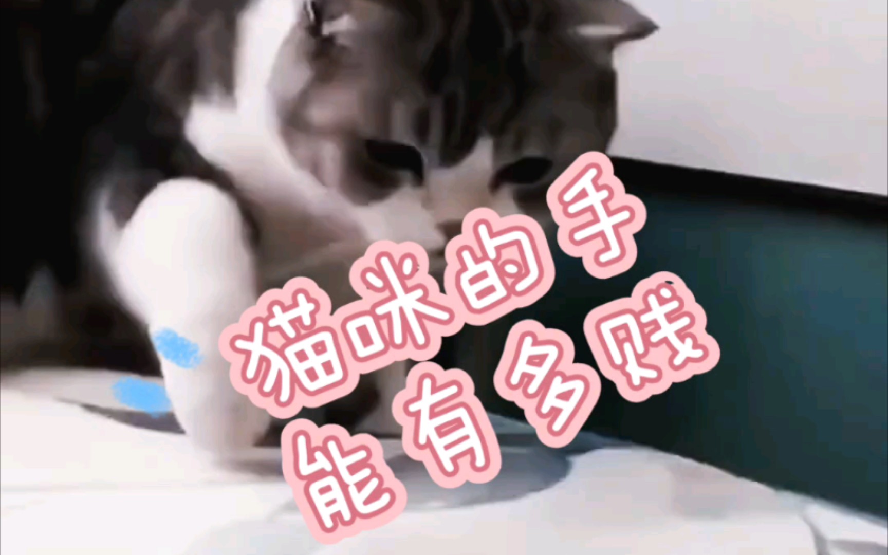 猫咪手贱解压大合集 看完瞬间快乐了!