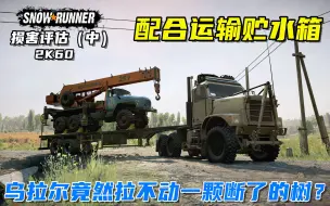 Download Video: 雪地奔驰：MTVR Mk31中型战术车配合乌拉尔一起翻车？运送贮水箱！