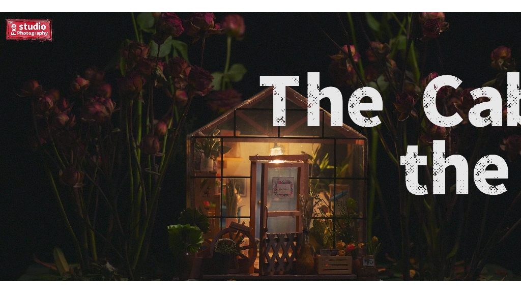 即将枯萎的花,绽放最后一点余温,拍一辑"林中的小屋"吧(松下gh5 4k)