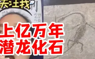 Descargar video: 牛老师直播遇