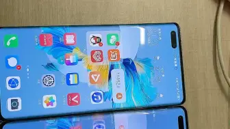 Download Video: Mate40pro 钻石屏与明星屏的对比