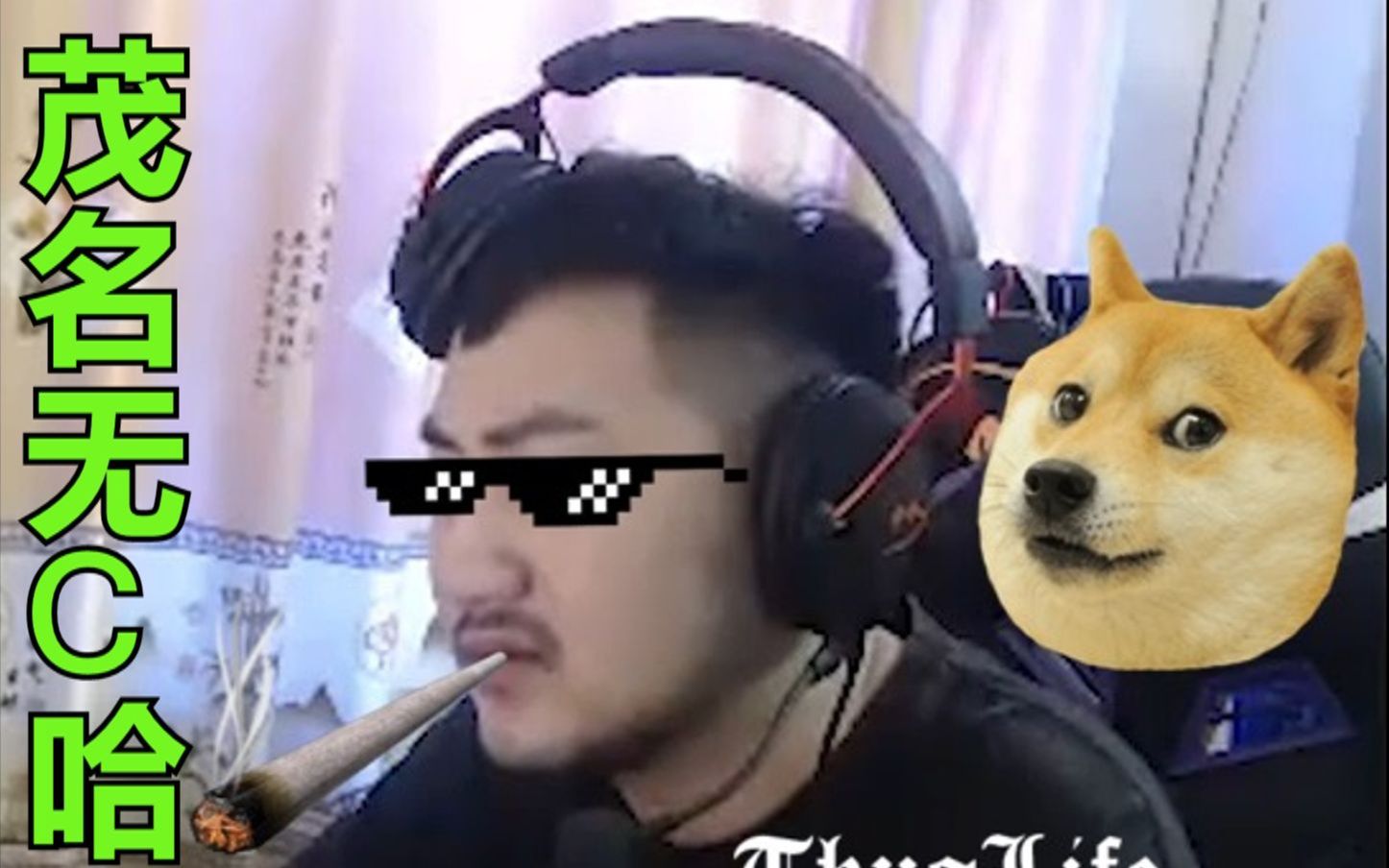 茄子人力鬼畜|白给圣经:茂名无c哈