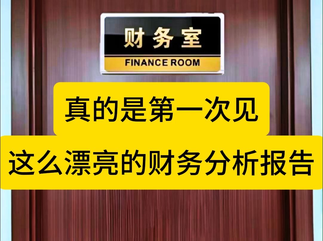 还真的是头一次见这么漂亮的财务分析报告,公司新来的财务经理让大家人手一份,当做范本学习,说以后财务报告都按照这个标准来!哔哩哔哩bilibili