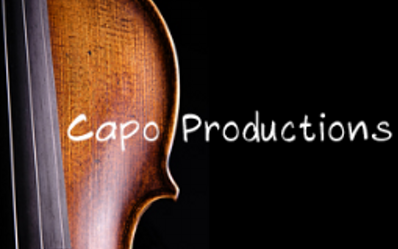 【纯音乐】Capo Productions  合集哔哩哔哩bilibili