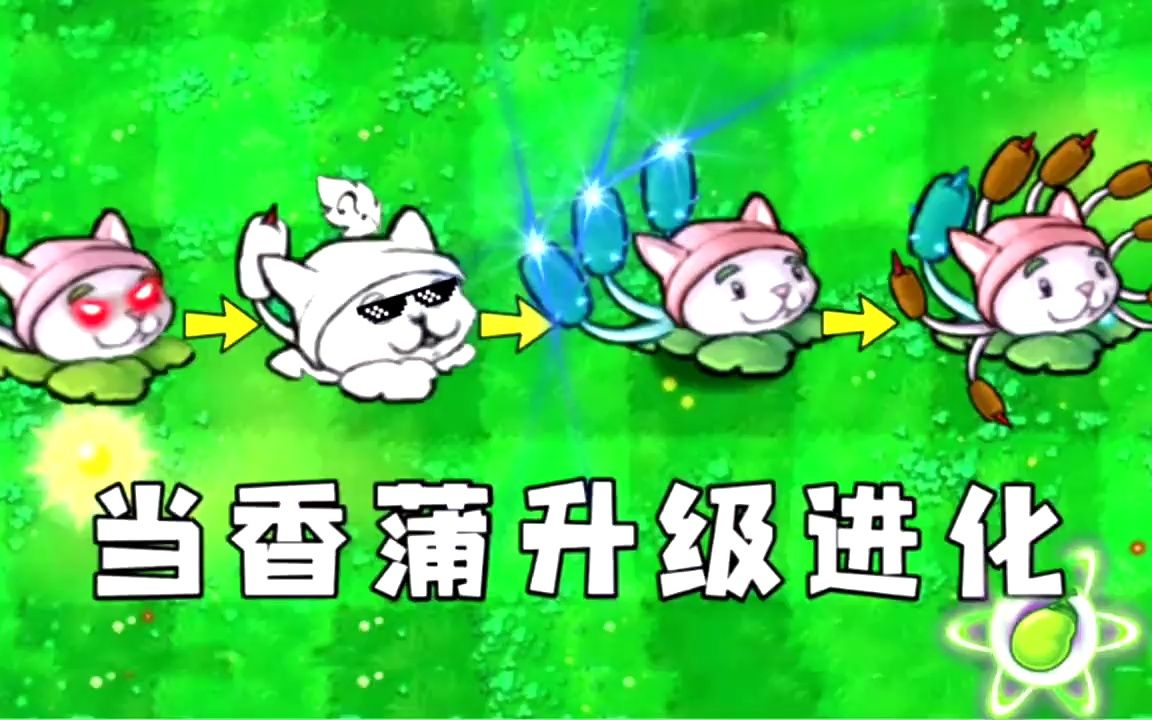 香蒲 pvz图片