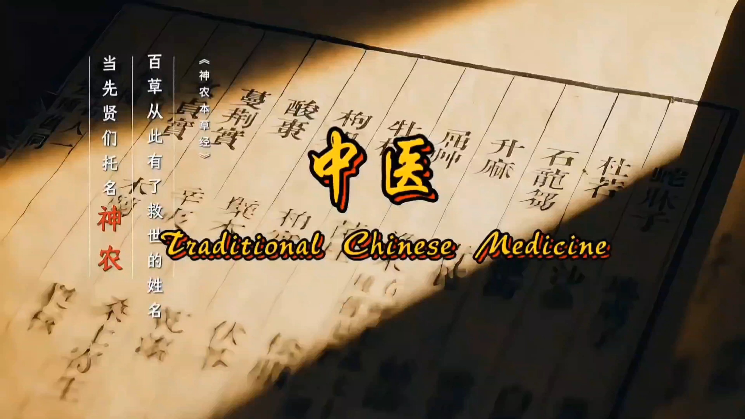 用英语介绍《中医》！