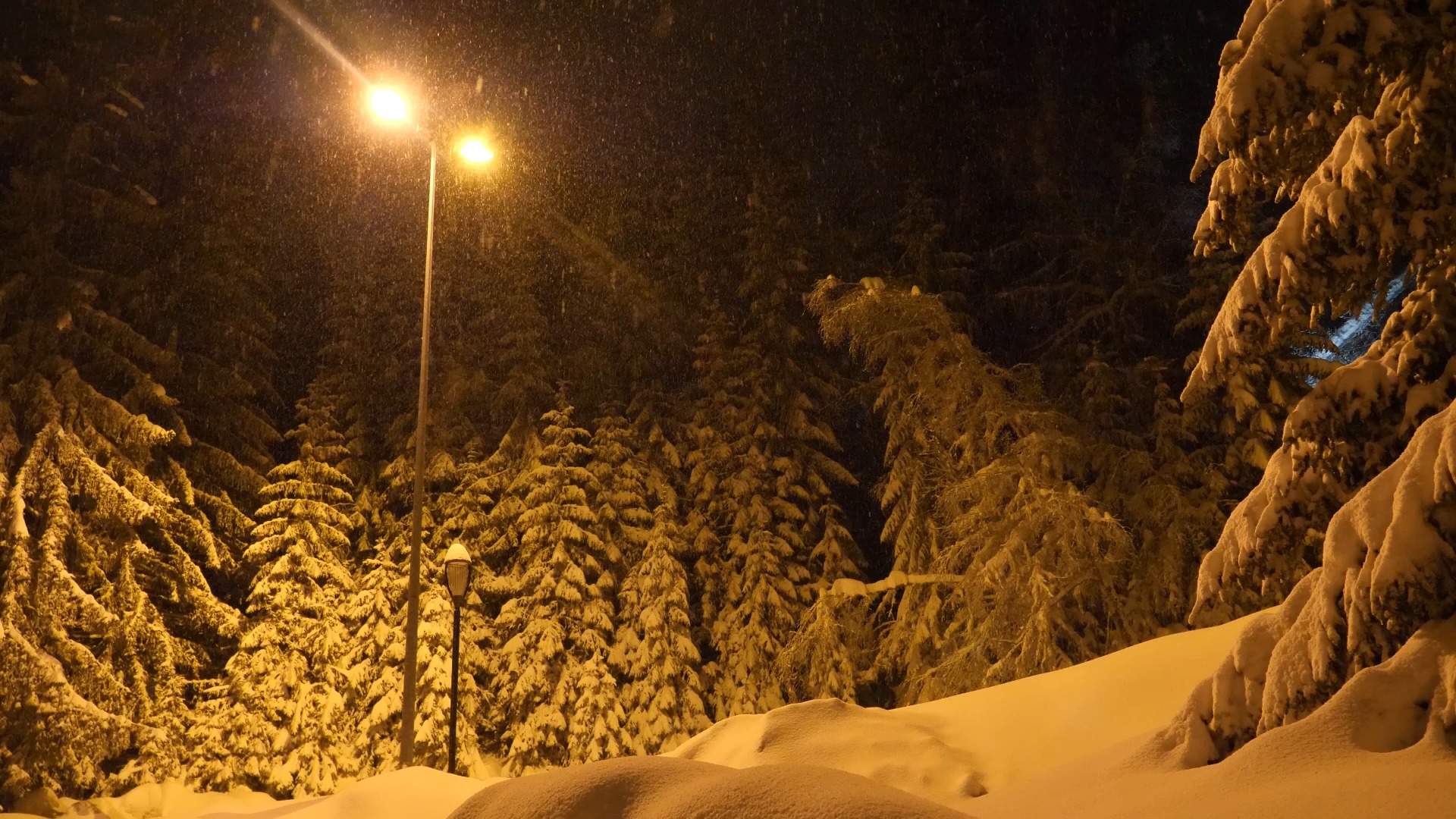 [图]一小时美丽的雪落在一个山村