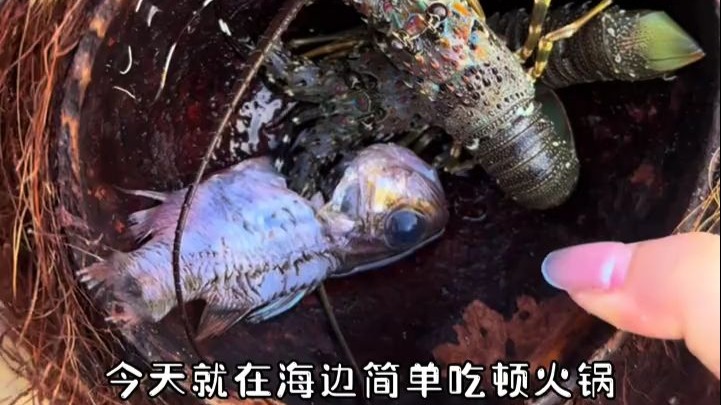 挑战荒岛生存15天 第10天