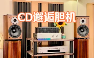 Descargar video: 男人的烧钱爱好！就喜欢这个温暖的音色！