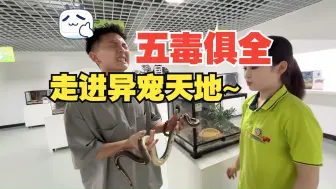 Download Video: 在异宠店上班的，到底都是些什么狠人？？！！【流浪生活】