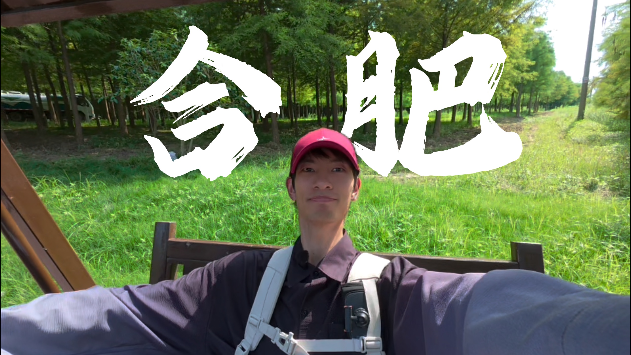 如果只有半天时间，合肥会是你的选择嘛