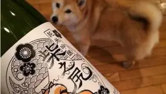 阴阳师 荒川退治day1打法 剩52秒拿下满分 哔哩哔哩 Bilibili