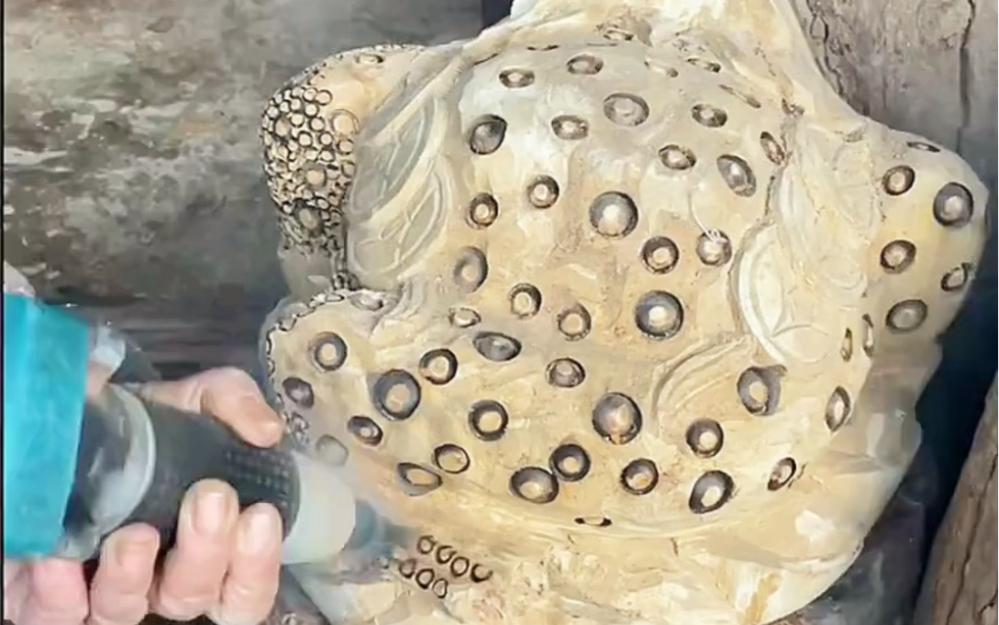 癞蛤蟆告诉大家,它都能变成金蟾!所以做人要有梦想,万一实现了呢!