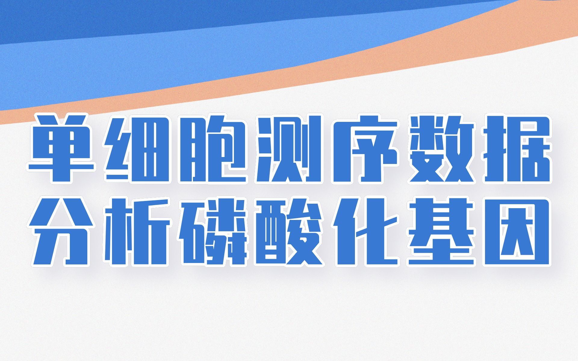 一篇生信文章启发多多!结合单细胞测序数据分析磷酸化相关基因,文章+课题思路同时get!/文献解读哔哩哔哩bilibili