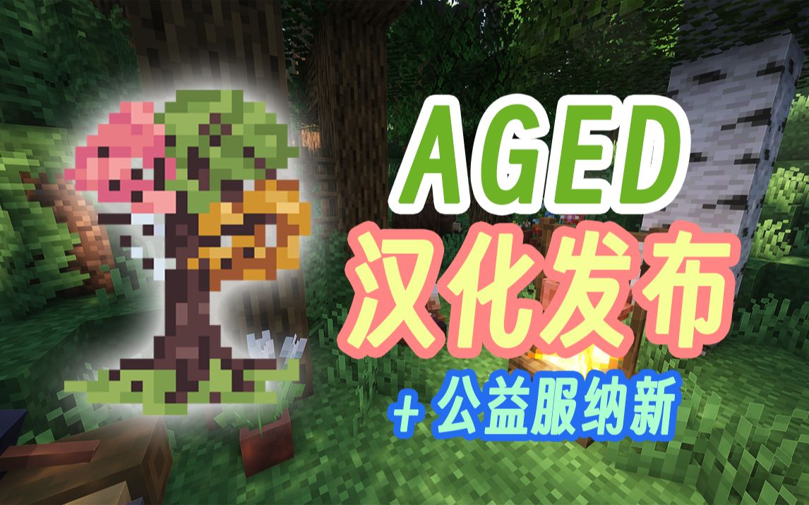 【汉化发布】AGED 整合包 类 RLCraft 整合包 纯人工汉化 三次精校对【指星冒险公益服官方汉化组:指星汉化组】单机游戏热门视频