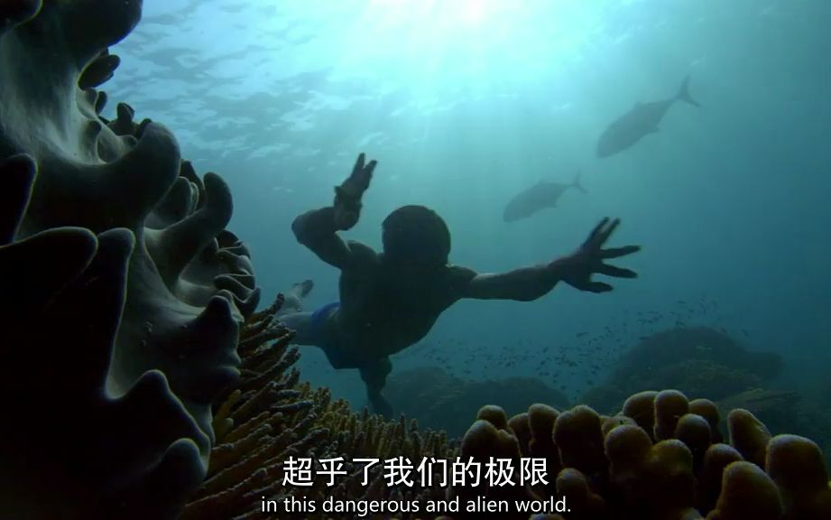 [图]人类星球.Human.Planet.S01E01.Chi_Eng.BDRip.AC3.1024X576.x264-YYeTs