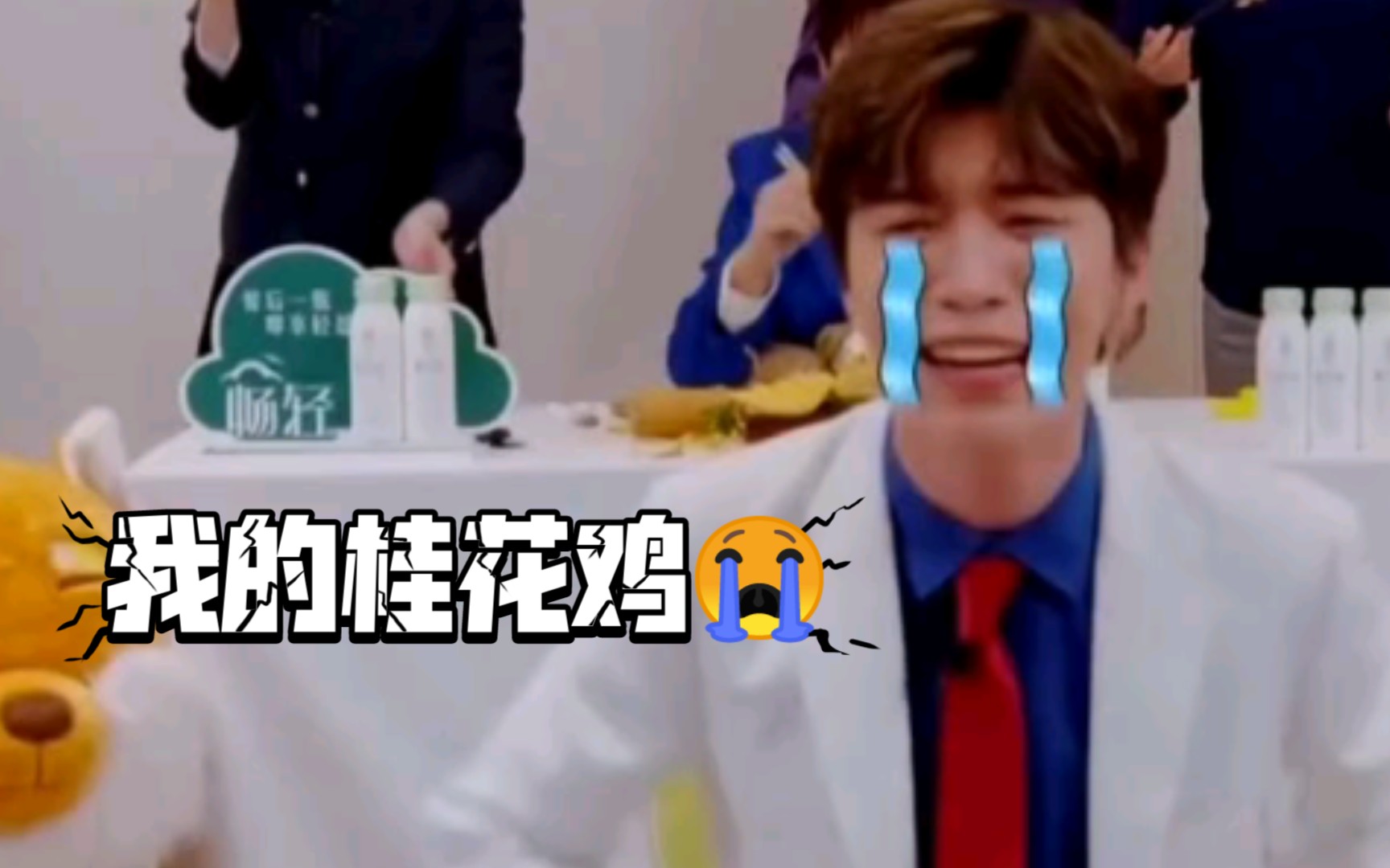 青春环游记范丞丞对这只桂花鸡我终究是错付了