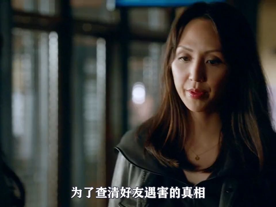 被卷入命案的中国女警,一挑十虐打众多黑帮,美剧灵书妙探