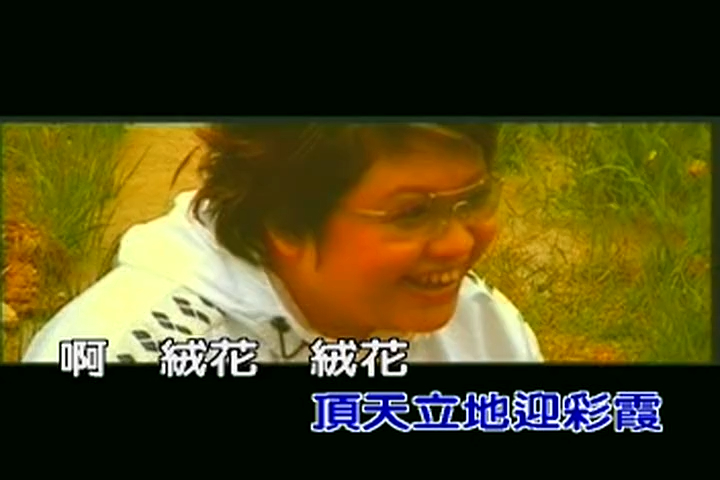 《绒花》影视金曲怀旧红歌经典老歌经典歌曲mv - 韩红