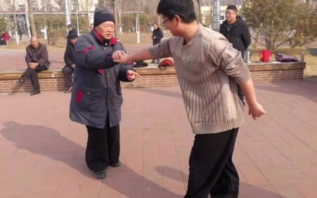 武式太极拳名家韩和平先生演示野马分鬃劲力及变化
