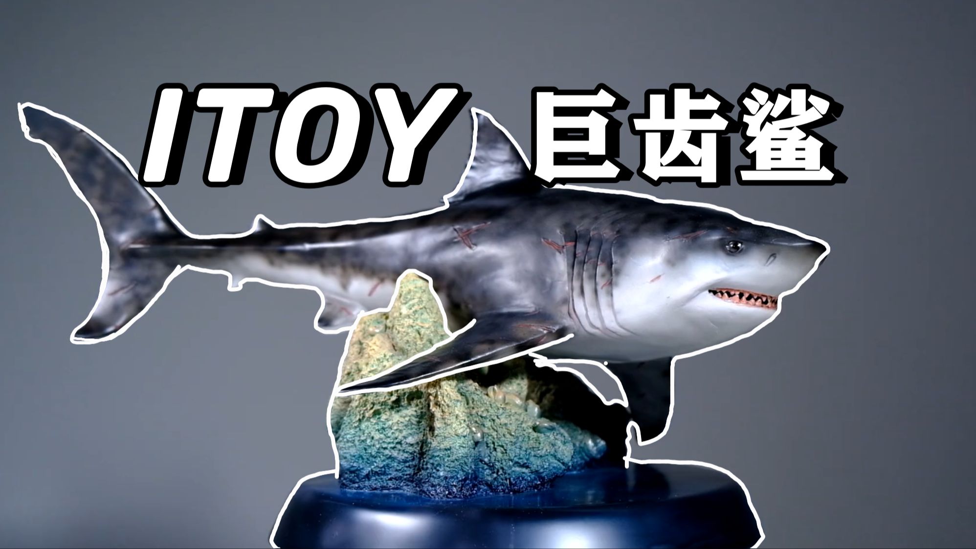 一款最近很火的巨齿鲨模型!itoy 1/35巨齿鲨开箱评测
