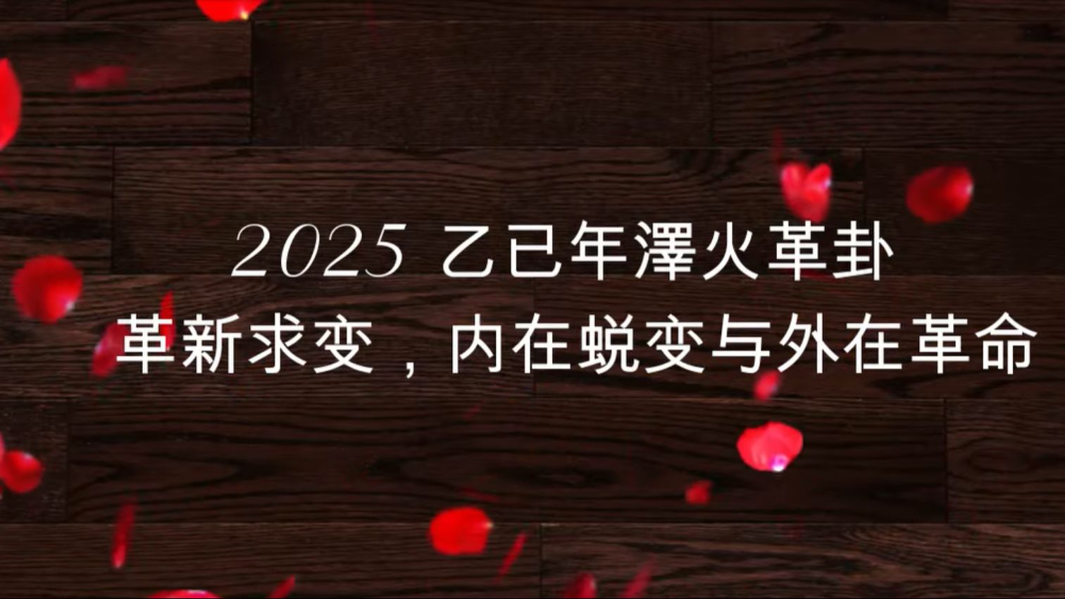 2025乙已年值年卦泽火革卦 革新求变 内在蜕变与外在革新 看2025年该如何自处?哔哩哔哩bilibili