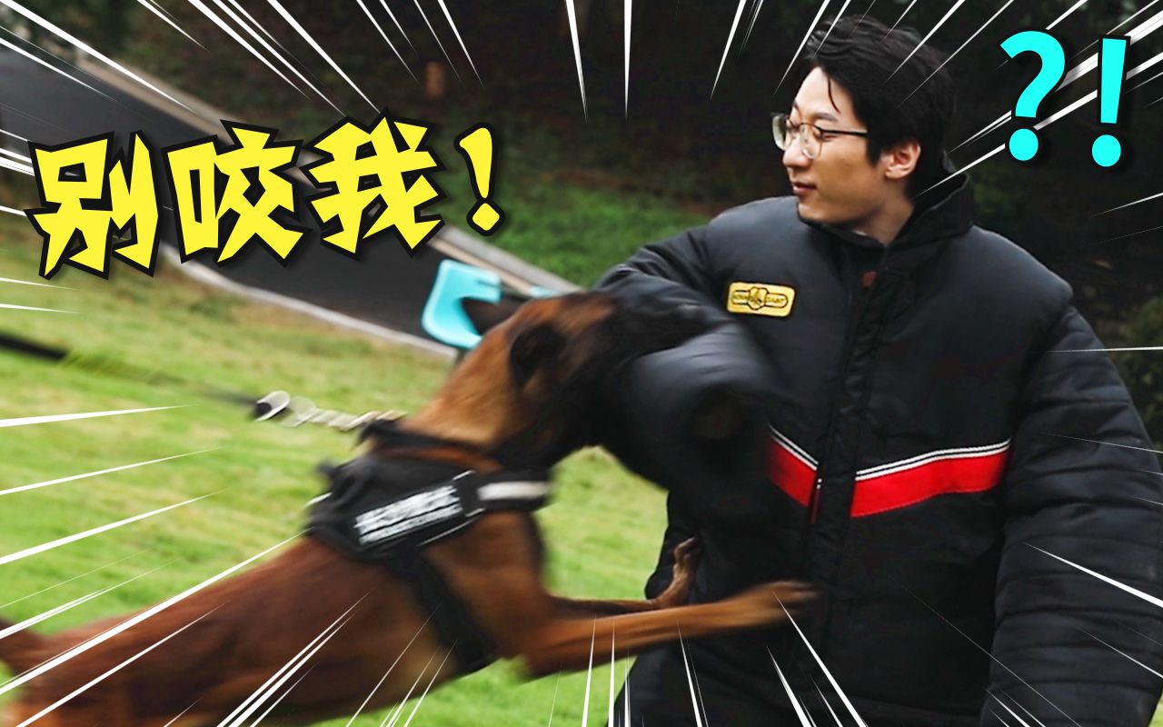 [图]百万粉up主勇闯警犬基地！被警犬扑咬有多痛？！【泛式X守护解放西】