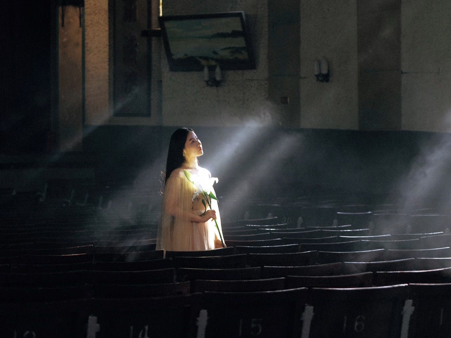 达利园效应的神