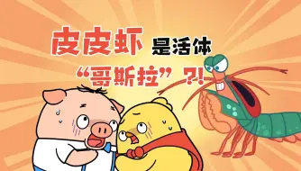 Download Video: 皮皮虾是活体“哥斯拉”？！