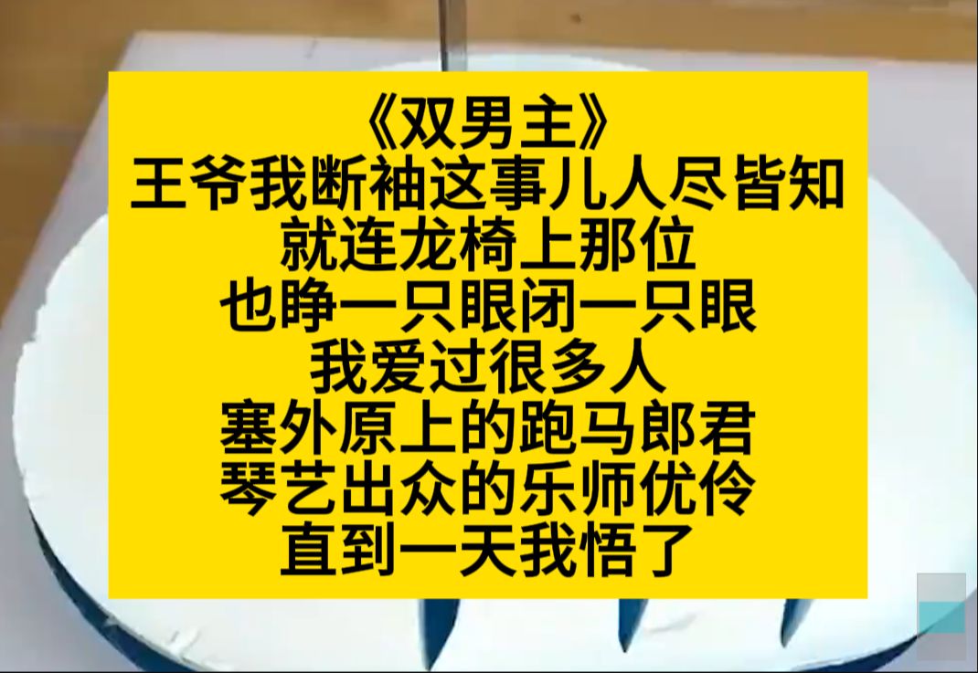 双男主 王爷我断袖这事儿人尽皆知,就连我皇帝哥也睁一只眼闭一只眼……哔哩哔哩bilibili