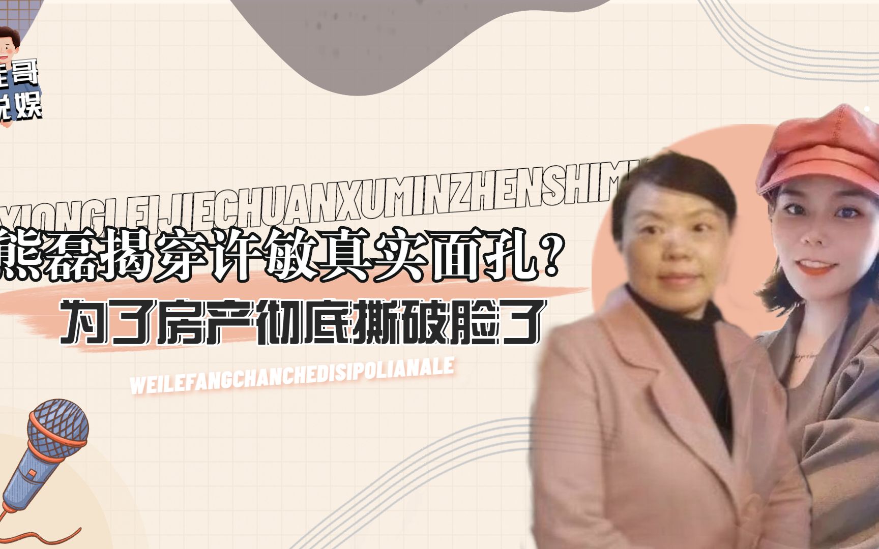 反转!熊磊揭穿许敏真实面孔?割肝救子纯属瞎编,房产要不回了!哔哩哔哩bilibili