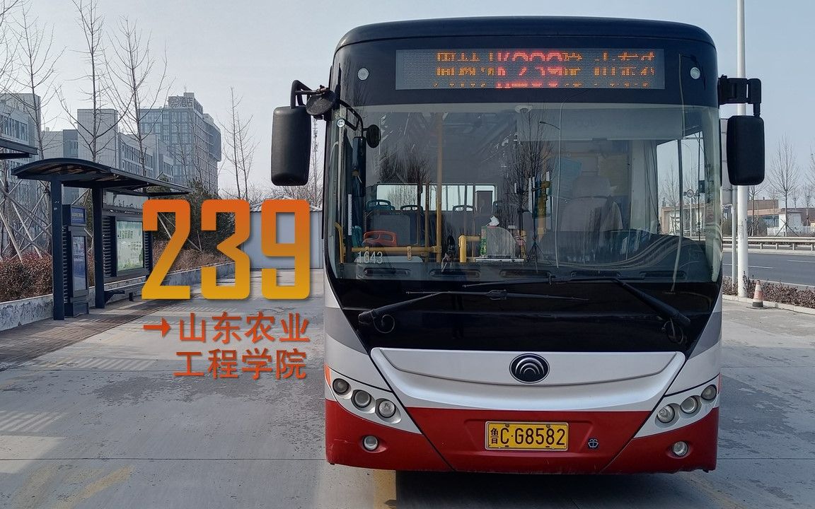 城中纵贯一条线极速运行少客源淄博公交239路周村火车站山东农业工程