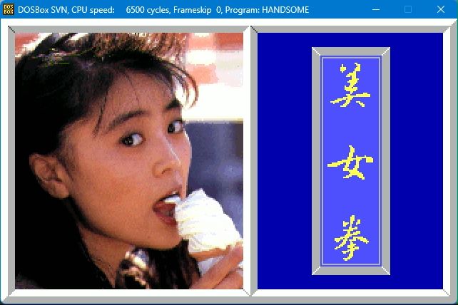 【经典怀旧游戏】1991年寻梦园 DOS美女拳 试玩哔哩哔哩bilibili游戏试玩