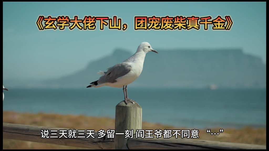 [图]《玄学大佬下山，团宠废柴真千金》墨念乔时砚全文，全集(完整版)